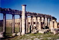 Forum de Cyrène