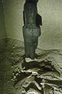 Statue celtique et mâchoires de boeufs